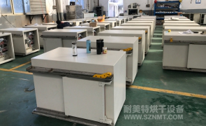 NMT-DL-7510新能源汽车电机自动烘干线(精进电动)