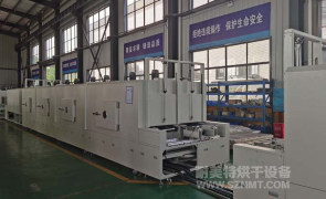NMT-SDL-765 双排灌胶固化隧道炉(华控)