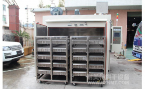 NMT-TC-5017汽车加热器道康宁胶固化落地式双推车烘箱(埃贝赫)