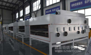 NMT-SDL-561 环保过滤行业燃气隧道炉(江西尤尼菲克)